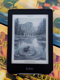 La Cascade des Folles (ebook)